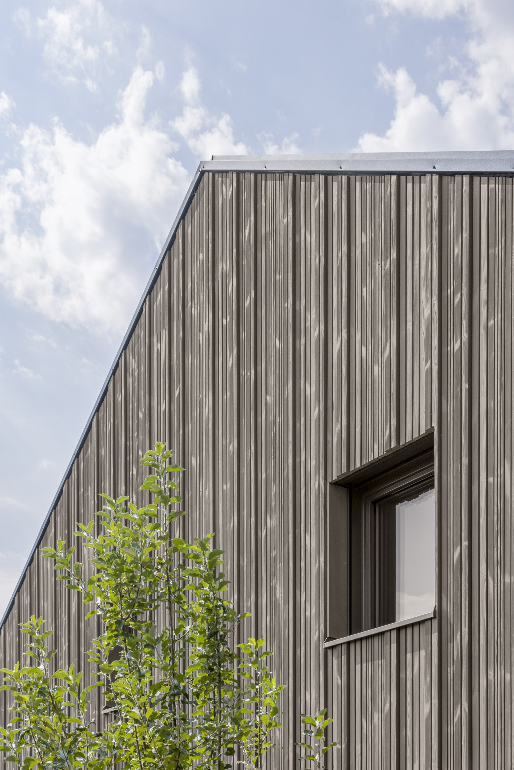 Reinhard.Architektur_Projekte_Wohnhaus_Würzburg_web_13