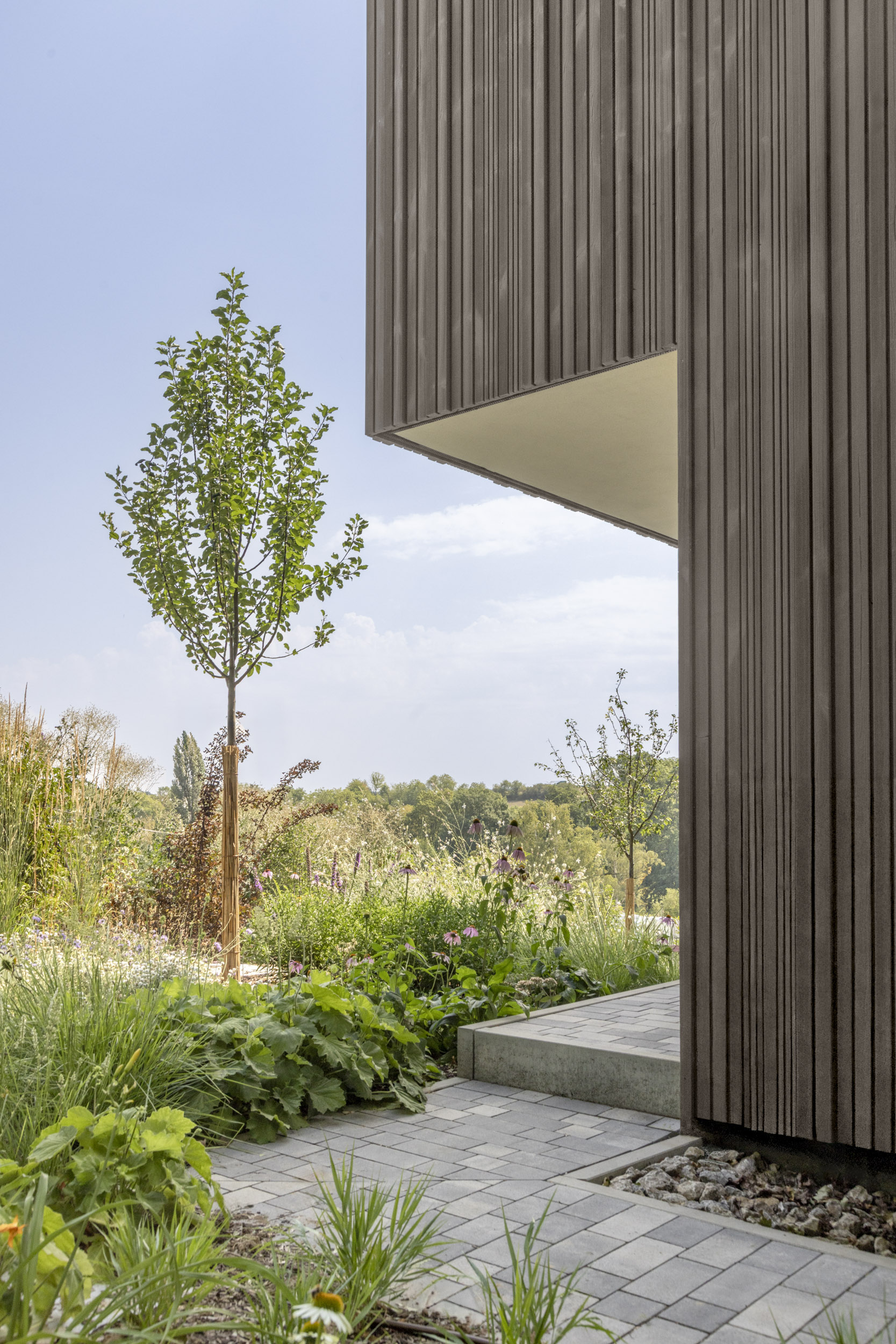 Reinhard.Architektur_Projekte_Wohnhaus_Würzburg_web_21